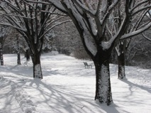 Winter6