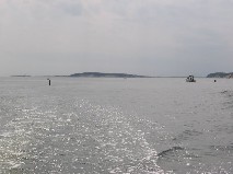 Wellfleet Harbor