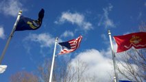 Flags