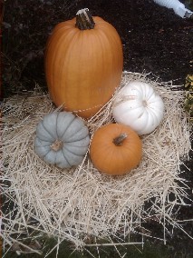 Gourds