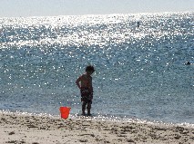 Last Days of Summer