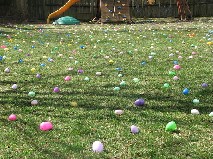 Egg Hunt