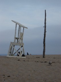 Lifeguard Chair