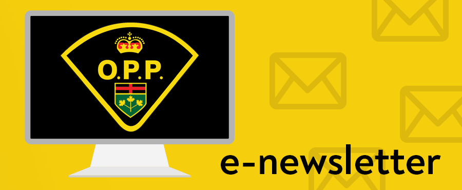 OPP logo sits on an illustration of a computer screen. 