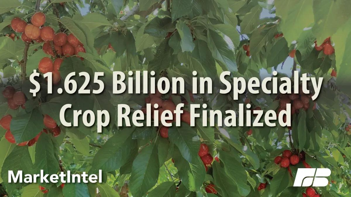 specialty crop bridge payments