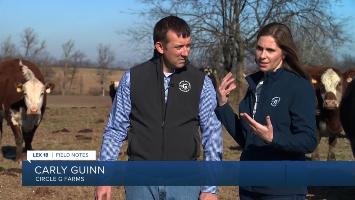 reinventing school lunches