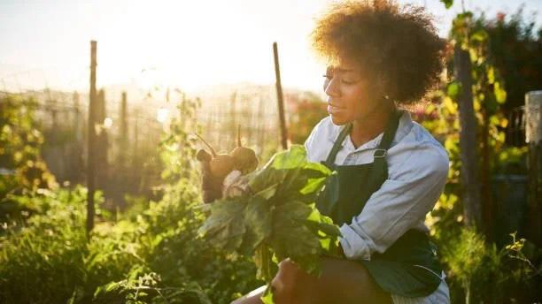 Thelma's Garden founder passing on farming know-how