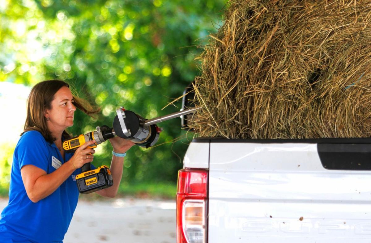 KDA transitions forage testing program to UK KDA transitions forage testing program to UK