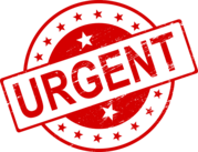 Urgent Partner Alert! 4 Behavior Dogs Need Rescue by 9/8/26! - Hope Paws Support Fund - 742658d1 7e25 4be0 9c32 cd94511fca57