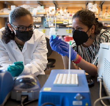 Photo of two people in lab with masks, gloves, and white coats looking at slide.