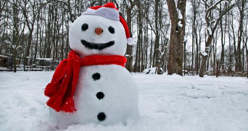 snowman_snowy_dec.jpg