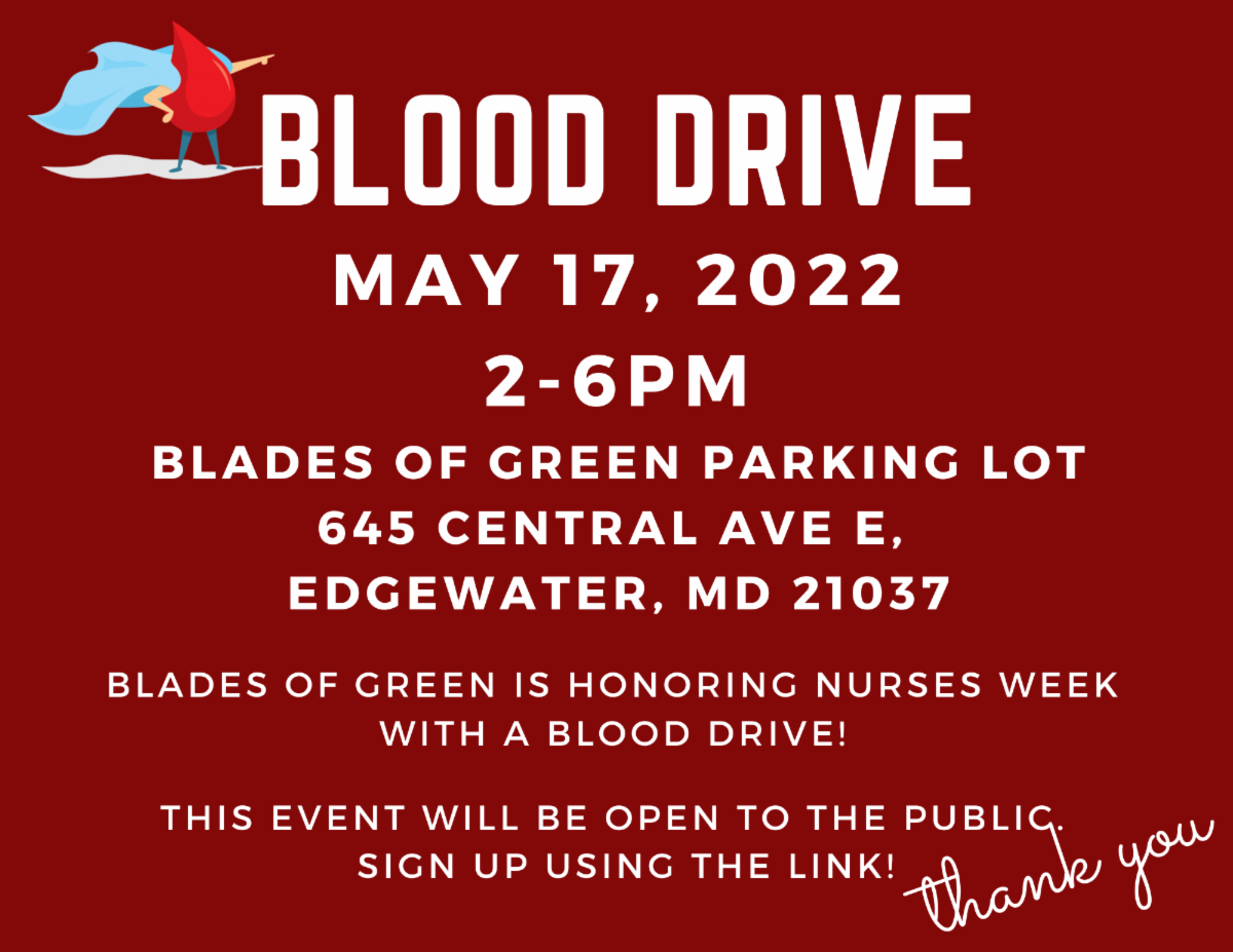 Southern Anne Arundel News