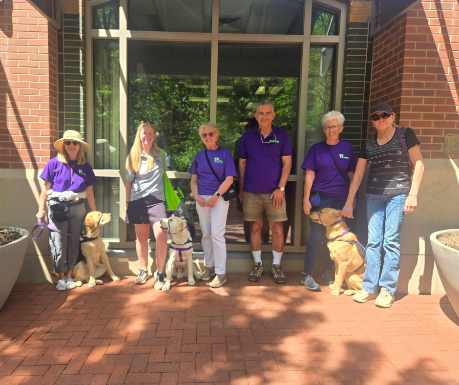 Six people in Paragon shirts stand next to three yellow labs.