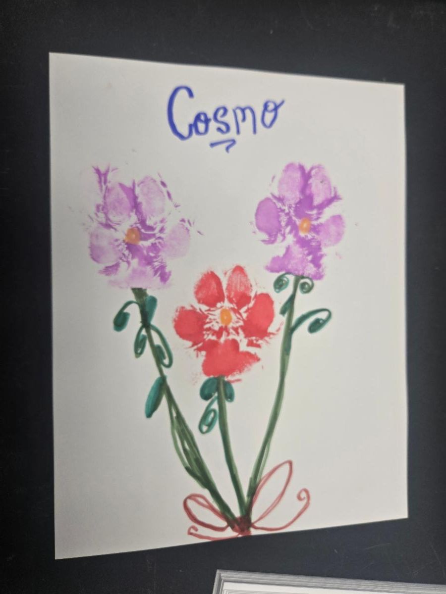 Three dog pawprints on a page. There are lines to make them look like flowers.  Text says "Cosmo"