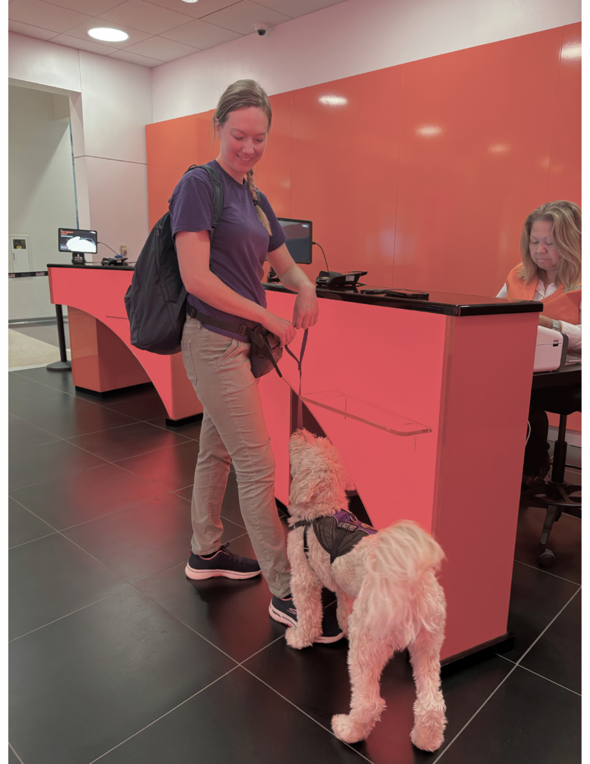 •	Eddie stands beside Paragon trainer Leah at a red hotel check in desk. Leah smiles down at him as he looks back up at her.