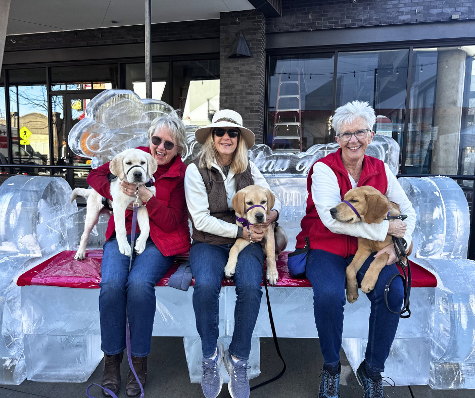 Three of our volunteers sit on a bench made of ice. They are holding three five month old puppies.
