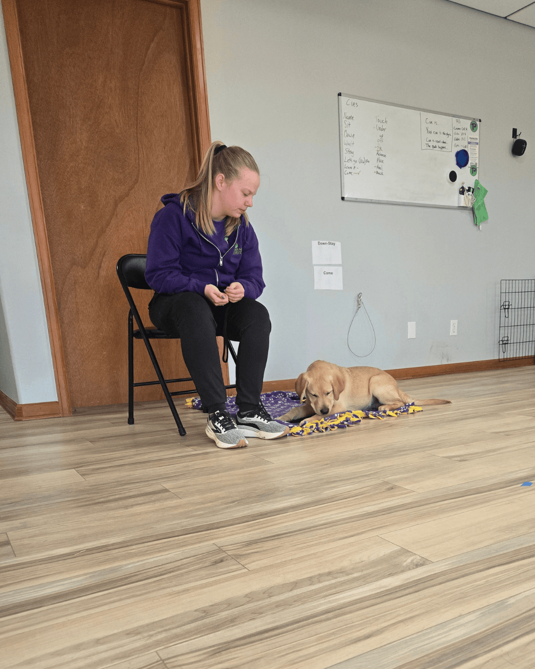 Chloe who is the volunteer coordinator sits next to Goose a yellow lab laying on a blanket.