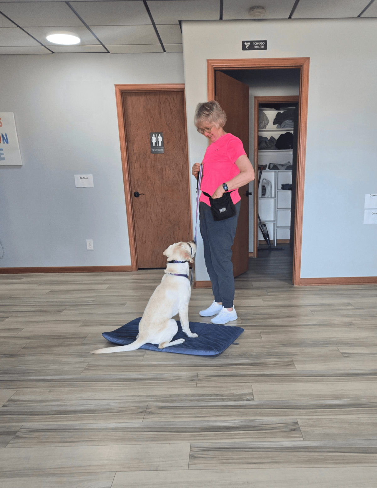 A yellow lab named Gilligan sits in front of Lisa his puppy raiser. 