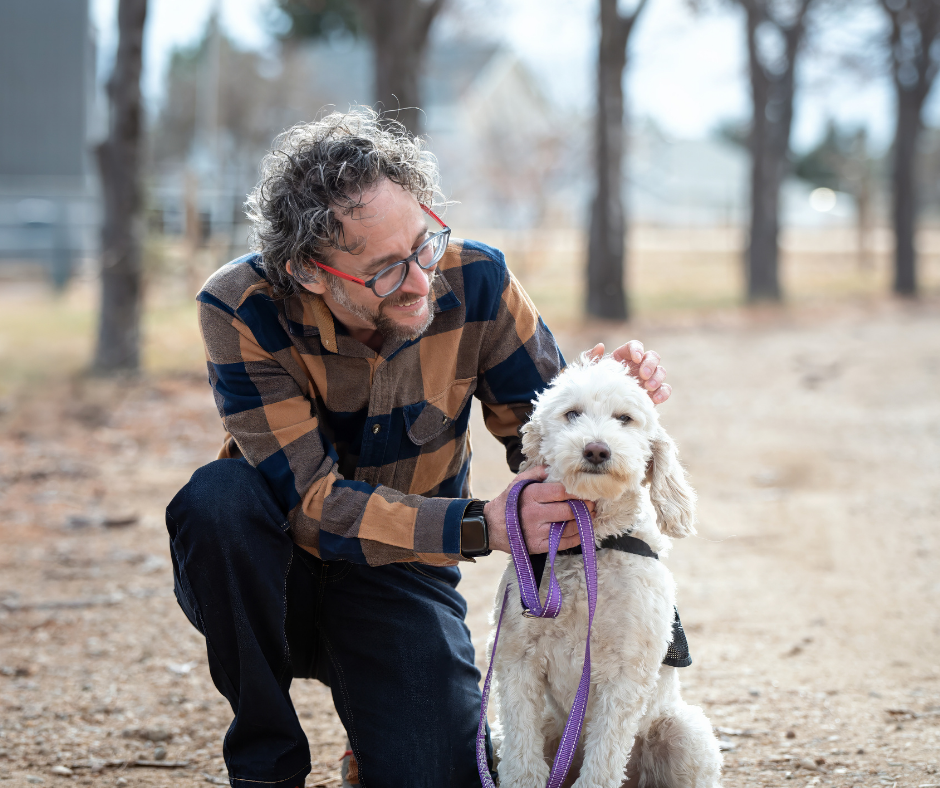 Client Matt pets his hearing dog Eddie who is a cream Cobberdog. 