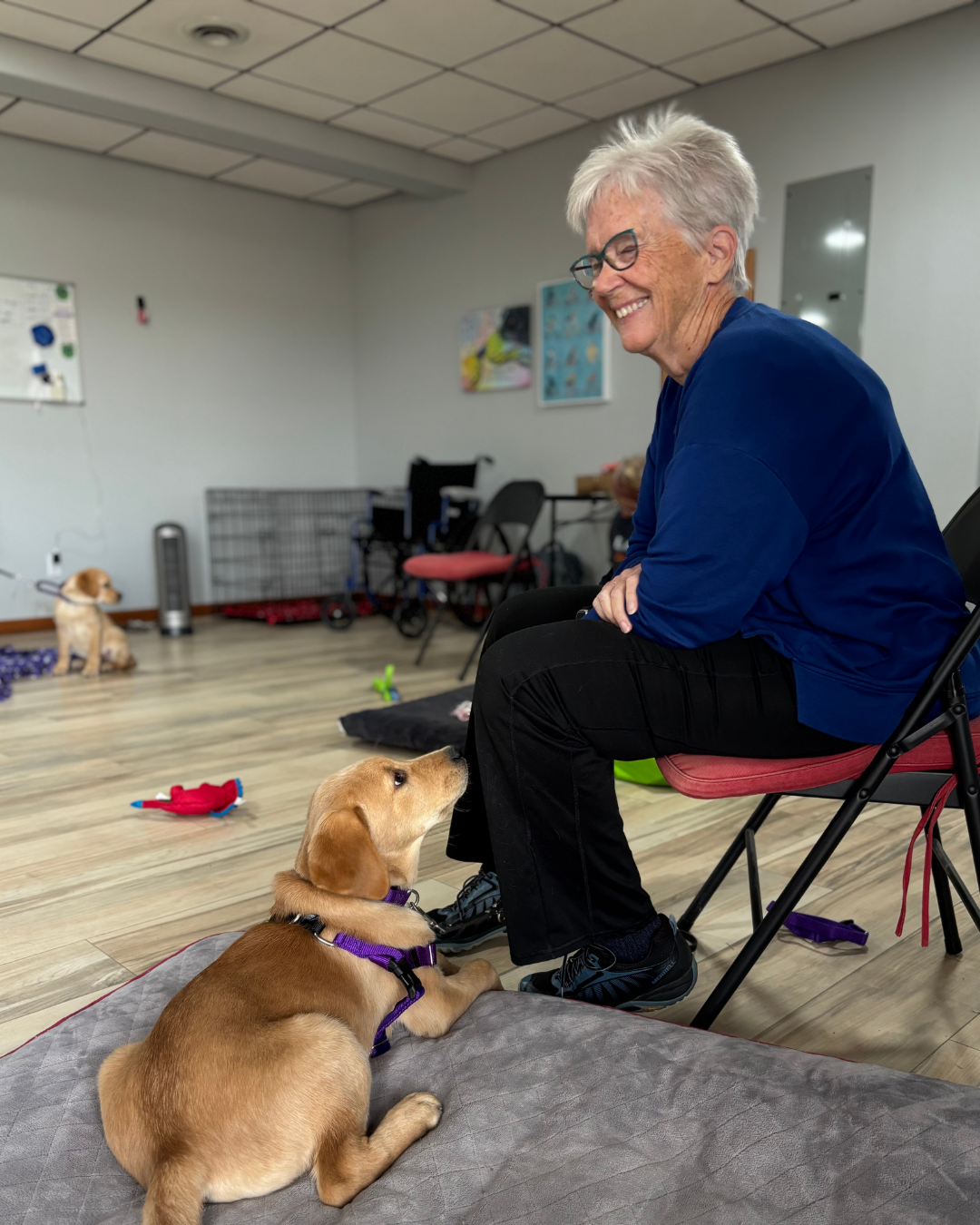 Golden lab mix Granby lays on a bed looking up lovingly at his puppy raiser.