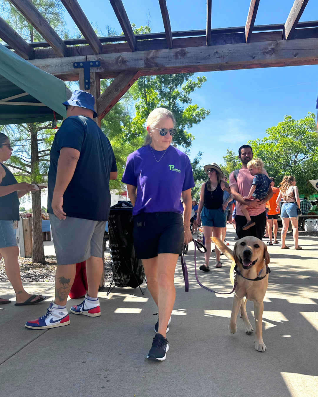 A volunteer walks Fortune a yellow lab through a busy crowd. 