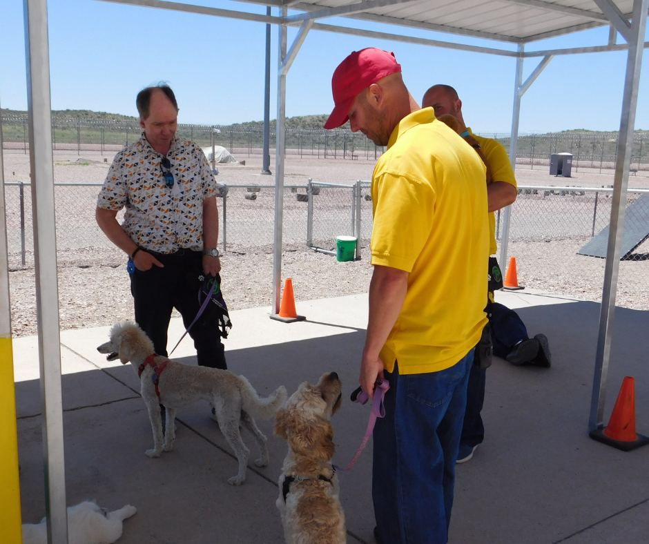 Harvey and a inmate in a yellow shirt stand outside under a shade equipment with their dogs. 