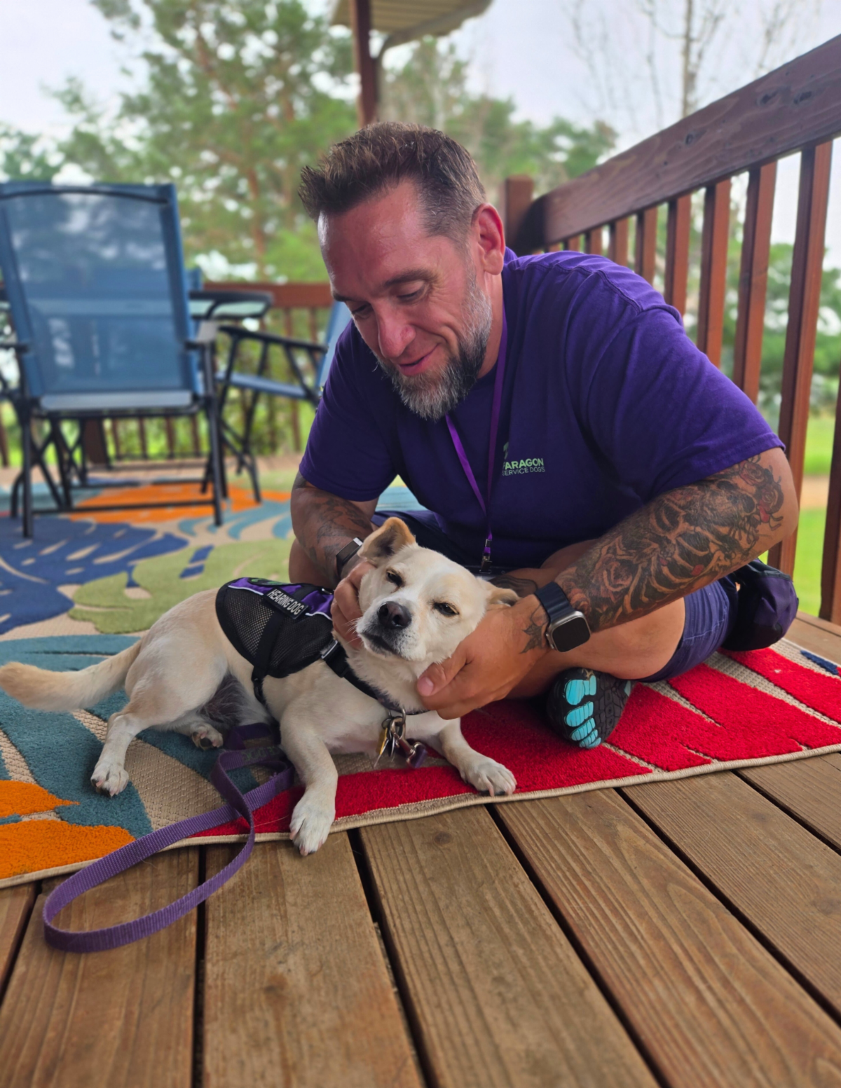 •	Paragon trainer Jack bends down to pet Artie smiling warmly as the little white Corgi Chihuahua mix looks content.