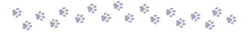 A graphic of purple pawprints. 