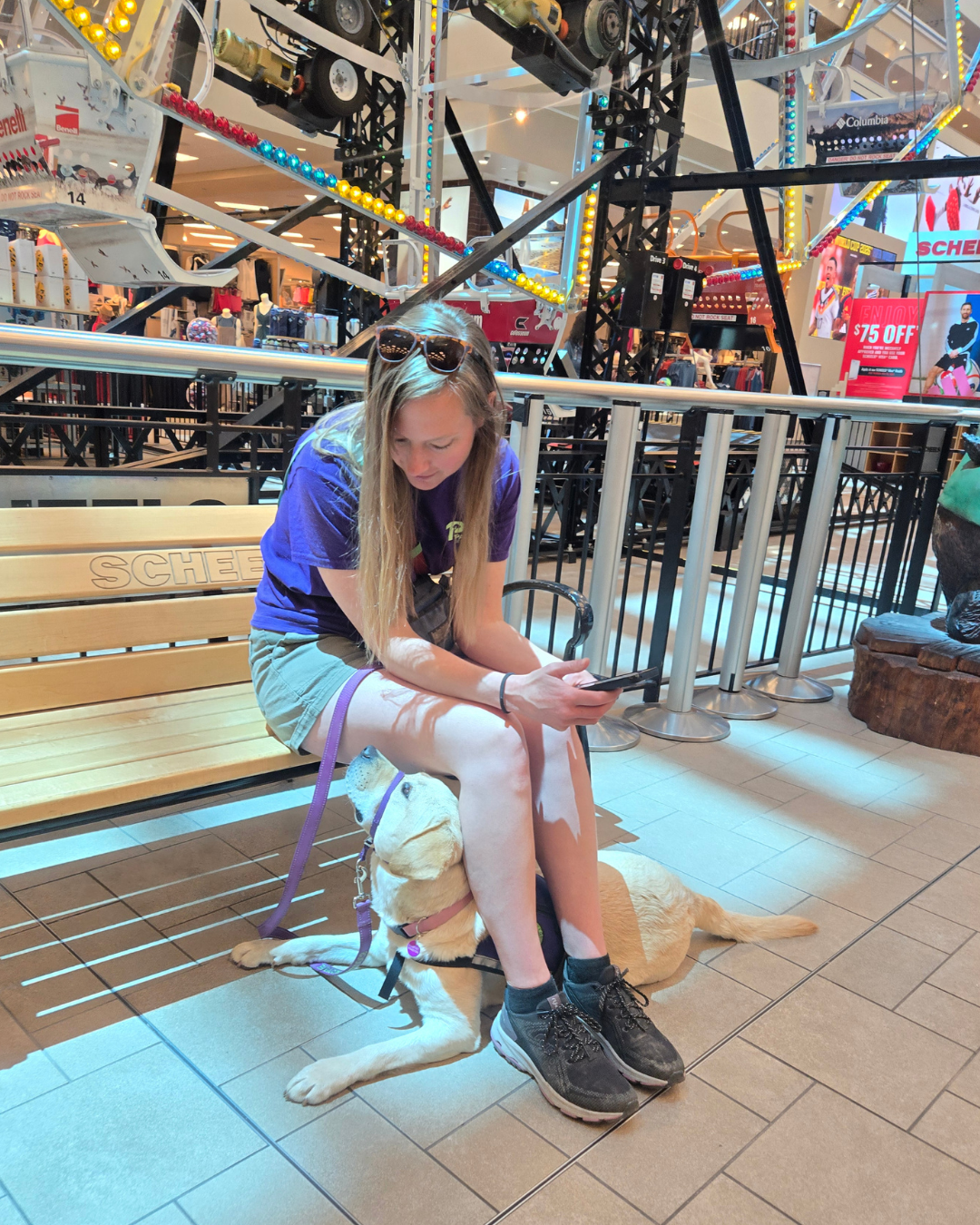 Paragon dog trainer, Leah, sits on a bench next to a Faris wheel. Fiona, a yellow lab, lays underneath her legs and looks up at her lovingly. 