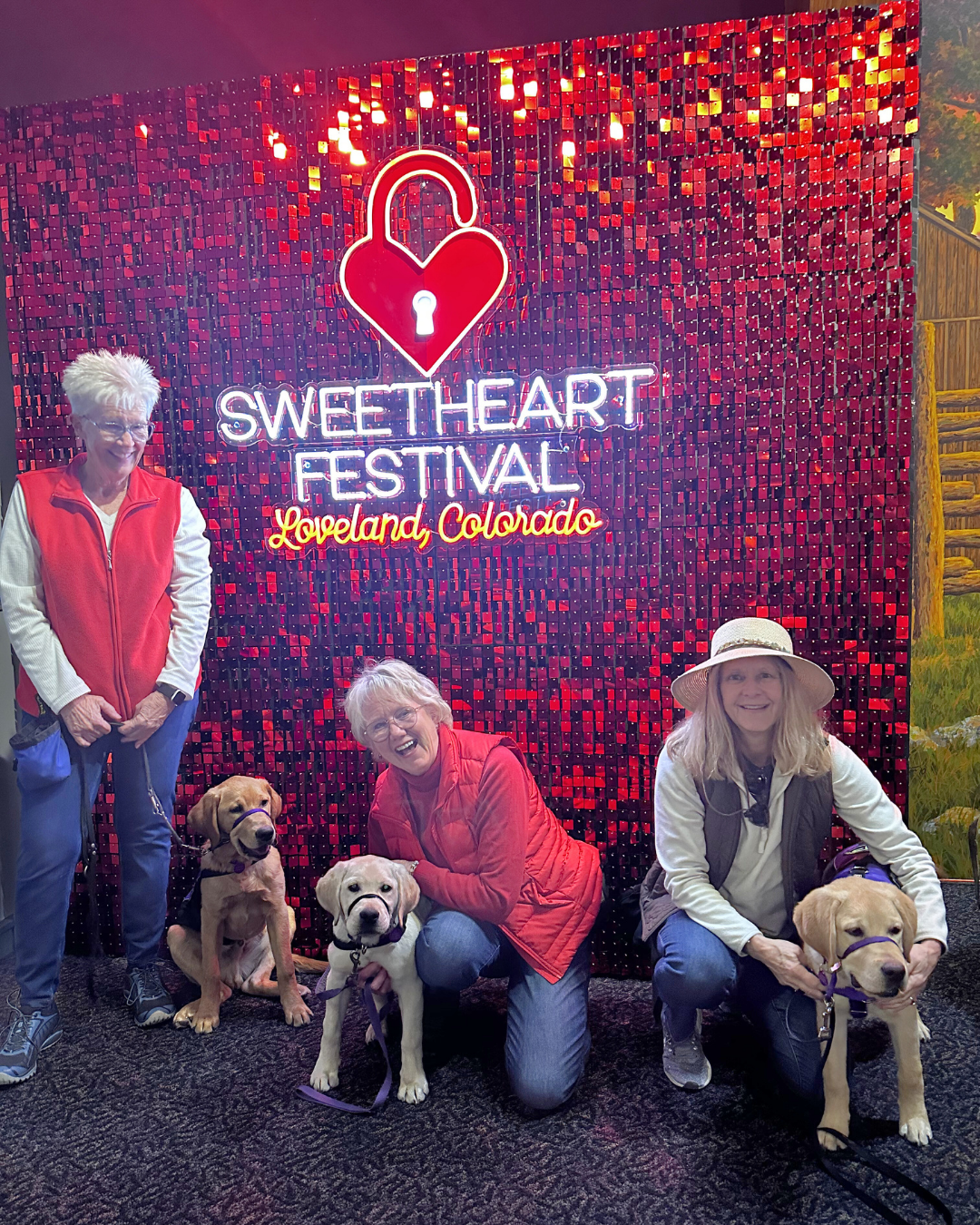 Three volunteers gather with three five month old lab puppies. They stand in front of a glowing red sign that states "Sweetheart Festival Loveland, Colorado"