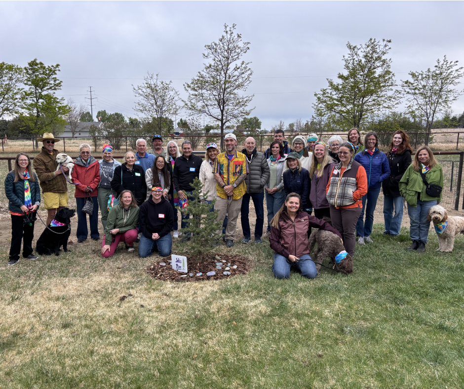 28 people and three dogs stand behind a sign that says "Jack's Pine" and a small pine tree.