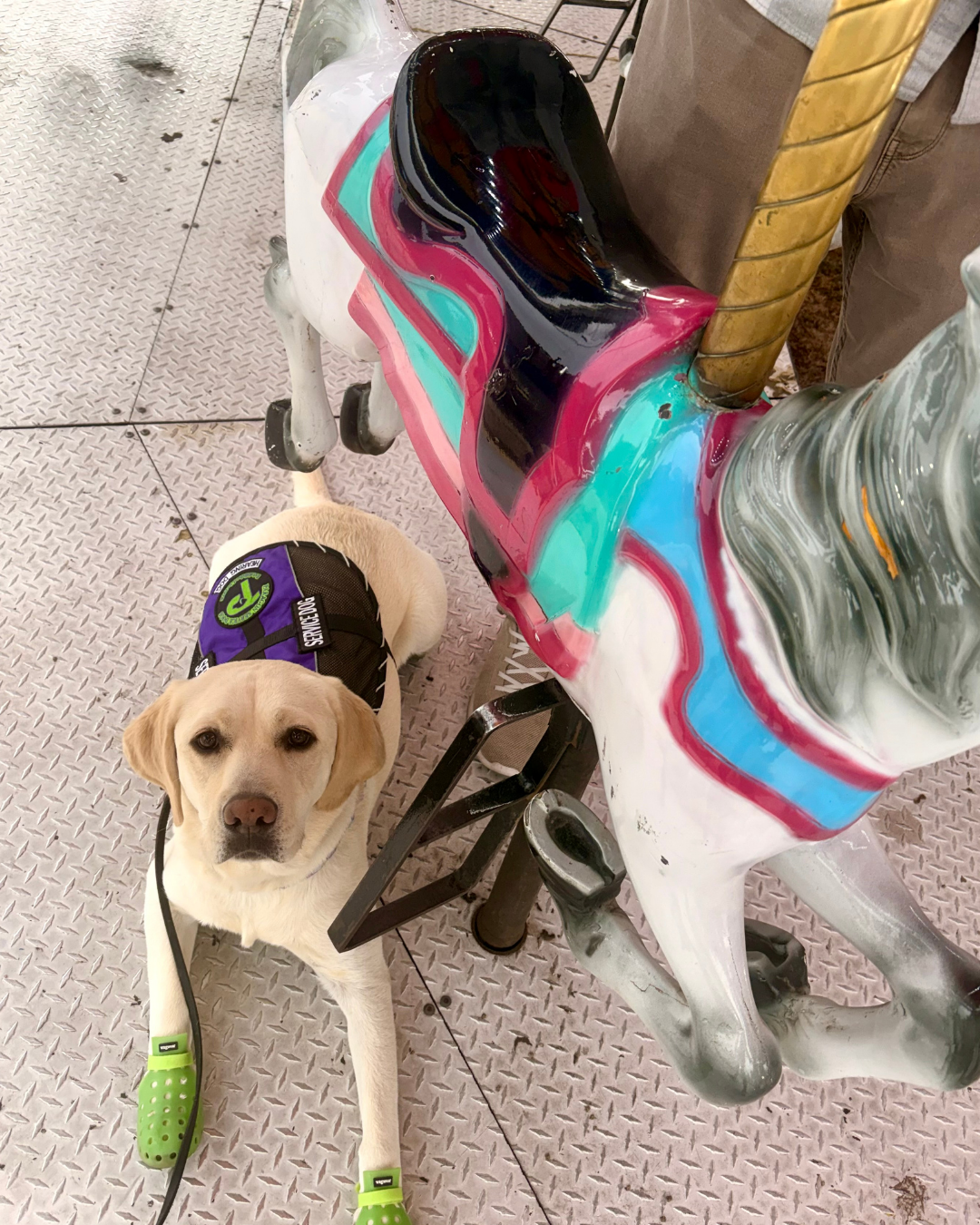 Caro wears a Paragon vest while next to a horse on a carousel. 