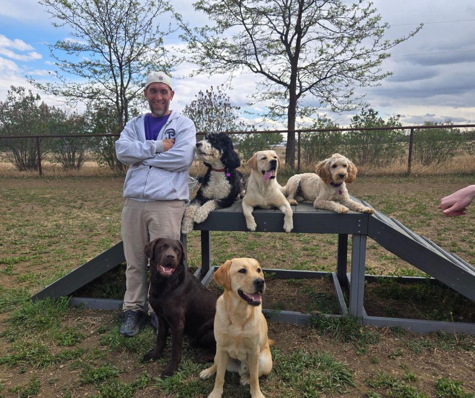 Jack stands next to a posed photo of five dogs. Two yellow labs, One chocolate, one bernedoodle, and one cobber dog. 