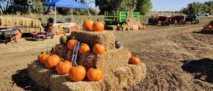 10 pumpkins sit on top of hay bales.