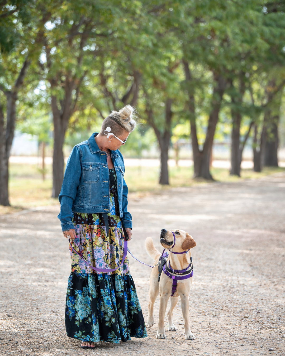 Melissa smiles down at Fortune a yellow lab beaming. He looks up at her lovingly in this professional photo. 