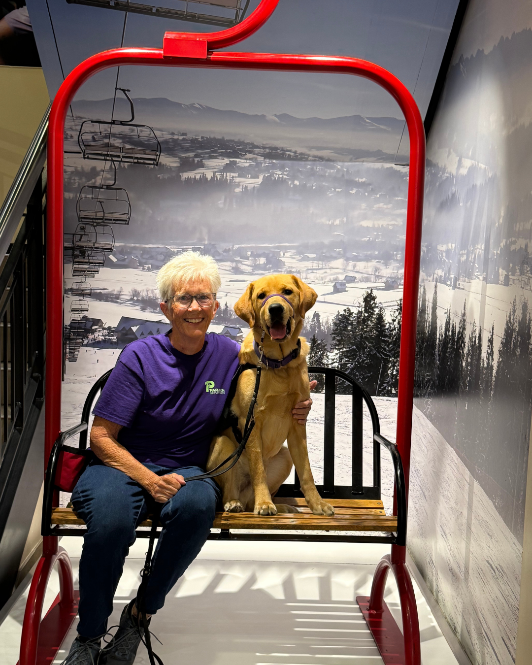 Granby, a Golden/Lab, and his puppy raiser Lori pose together on a display ski lift. 