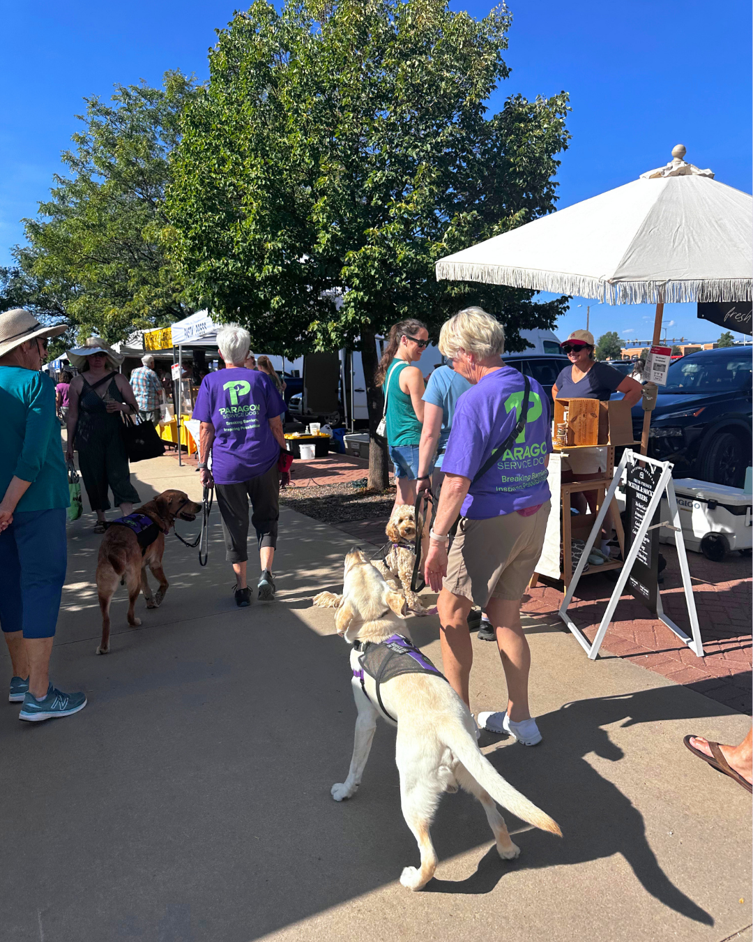 Gilligan walks next to his volunteer through the farmers market. 