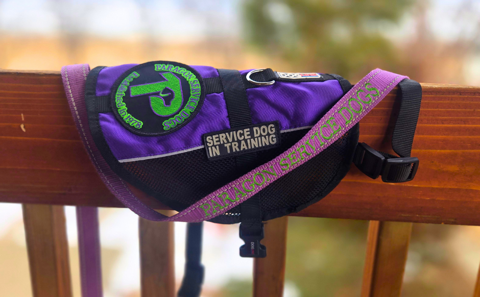 A purple vest hangs over a wooden fence. A bright green patch reads “Paragon Service Dogs Established 1978” and a black and white patch display “Service Dog in Training.” A purple leash printed with “Paragon Service Dogs” rests on top of the vest.