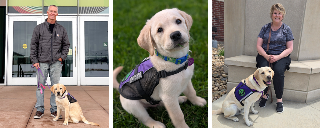 Paragon Press Collage