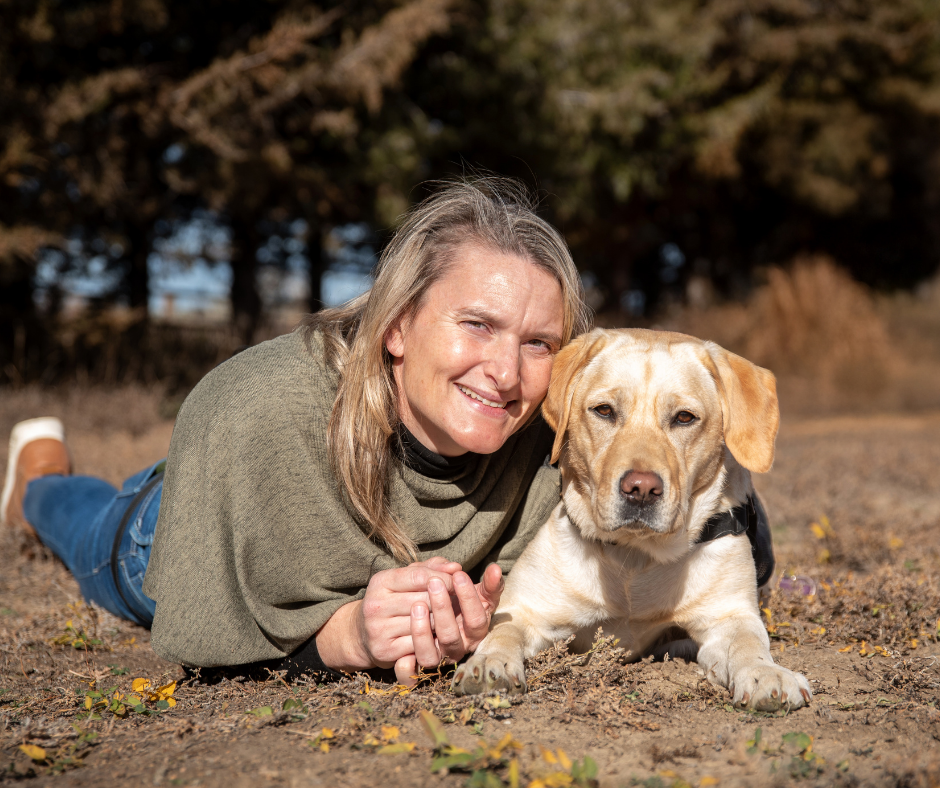 Tia and yellow lab Dancer lay on the ground looking at the camera.