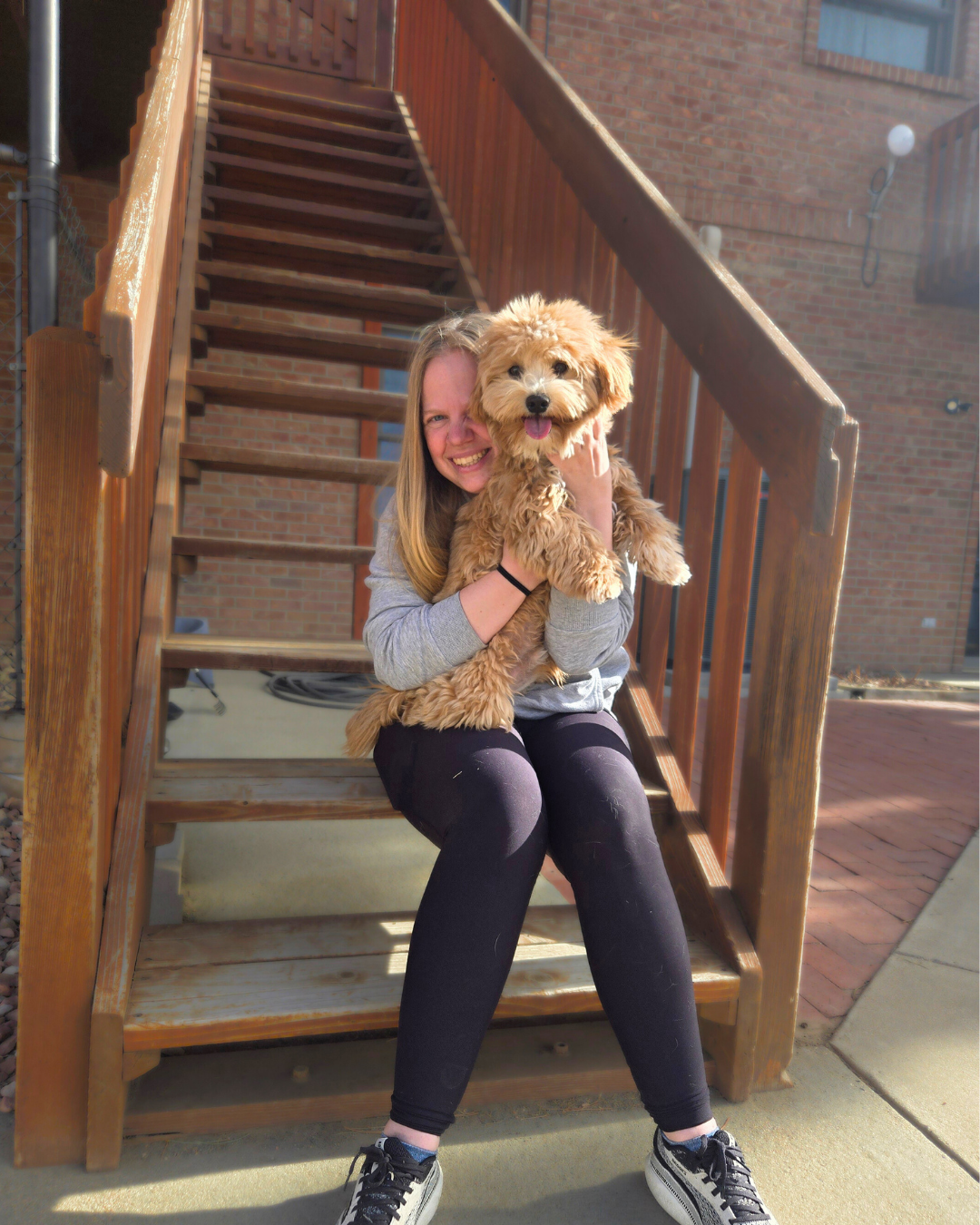 A girl holds Finch a brown Havanese up near her head as she is smiling brightly. Finch looks like a smiling teddy bear. 