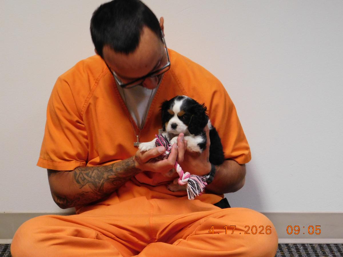 A photo of a inmate in orange holds a very small dog named Henry. 