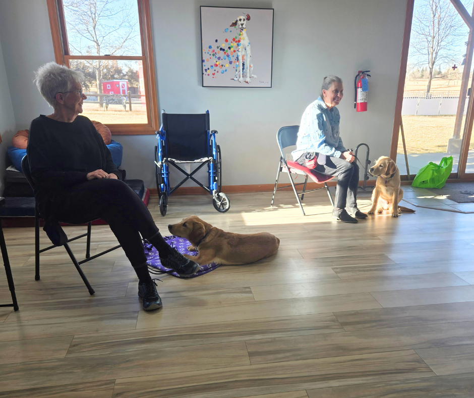 Two volunteers with with their two five month old puppies inside Paragon's training area.