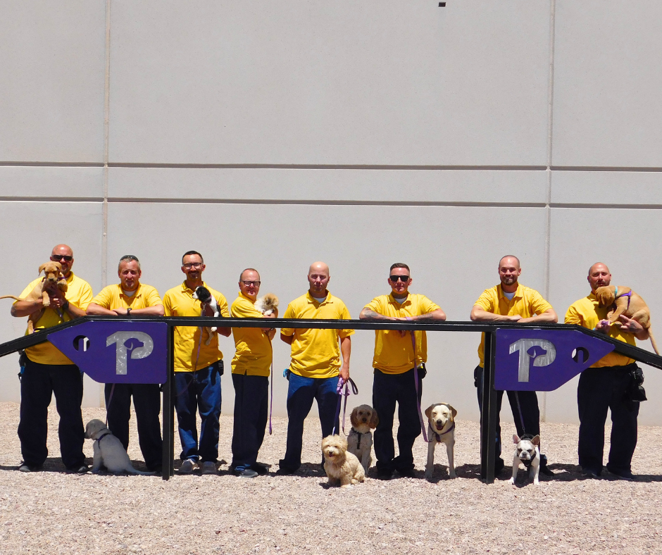 8 Paragon inmate handlers pose in front of a dog walk agility equipment with their dogs. 