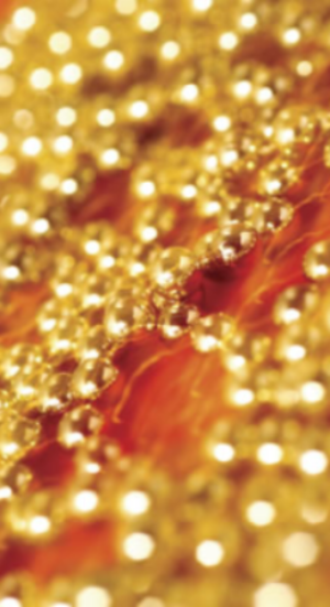 gold-beads-abstract.jpg
