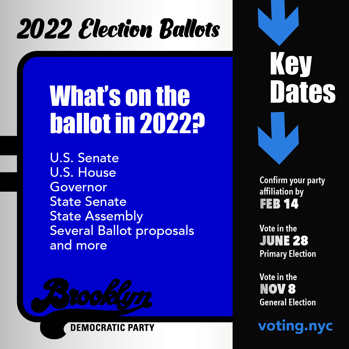 Blue white and black graphic of what's on the ballot in 2022