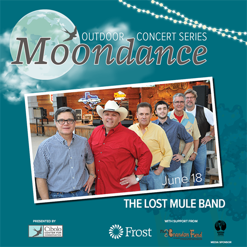 Mondance_Posts3.png