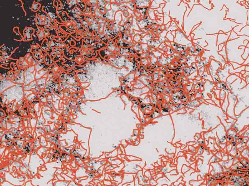 Etcp Powder Finishing News on Georgia Powder Coating, Dry/Liquid Chromic Acid, eTCP ...