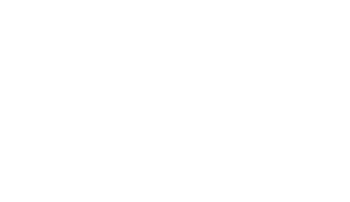 Florida Institute for Child Welfare at Florida State University