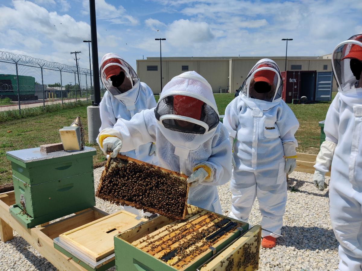 Please help support the Beekeeping Program at the Johnson County Jail